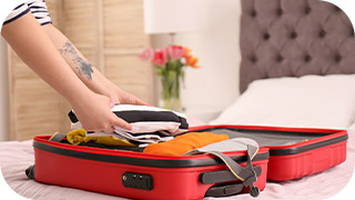 american airlines bolsagage fees carry on